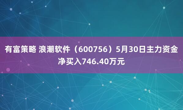 有富策略 浪潮软件（600756）5月30日主力资金净买入746.40万元