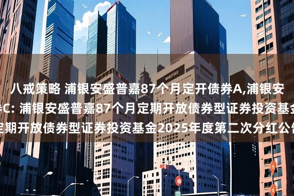 八戒策略 浦银安盛普嘉87个月定开债券A,浦银安盛普嘉87个月定开债券C: 浦银安盛普嘉87个月定期开放债券型证券投资基金2025年度第二次分红公告