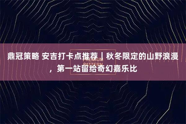 鼎冠策略 安吉打卡点推荐｜秋冬限定的山野浪漫，第一站留给奇幻嘉乐比