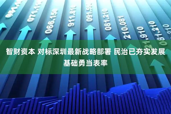 智财资本 对标深圳最新战略部署 民治已夯实发展基础勇当表率