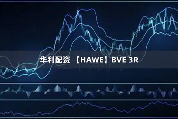 华利配资 【HAWE】BVE 3R